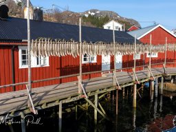 Lofoten