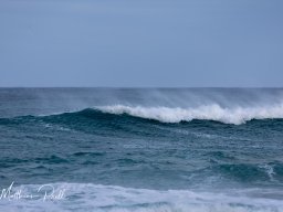 Lofoten
