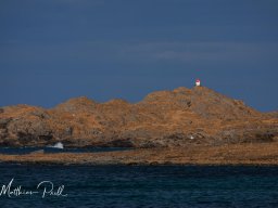 Lofoten