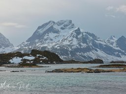 Lofoten