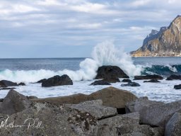 Lofoten